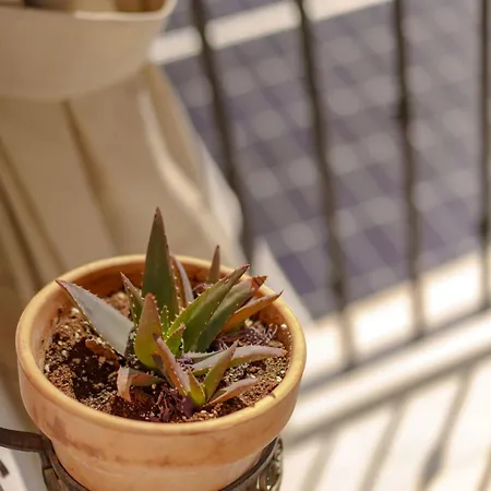 Mirador Arabeluj * Granada