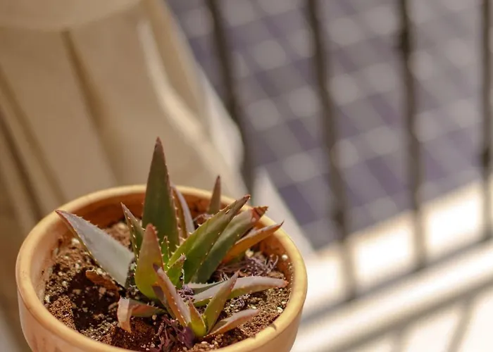 Mirador Arabeluj * Granada